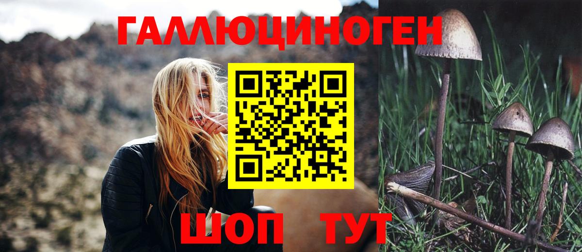 Калининград  Псилоцибиновые грибы ЛСД  Вход с VPN 