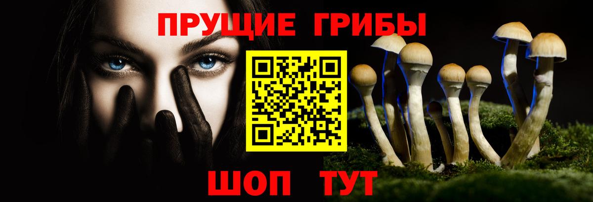 Псилоцибиновые грибы Psilocybine cubensis Калининград